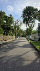 Ponggol Seventeenth Avenue (D19), Detached #498945451